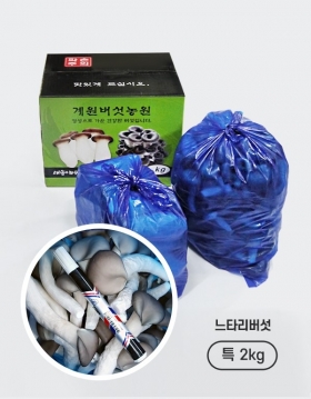 [계원버섯농원] 느타리버섯 (특2kg)
