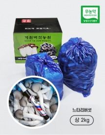 [계원버섯농원] 느타리버섯 (상2kg)