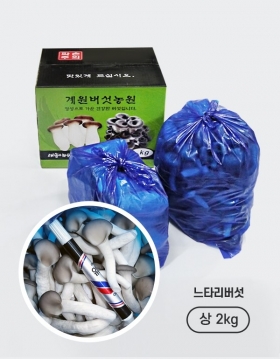 [계원버섯농원] 느타리버섯 (상2kg)