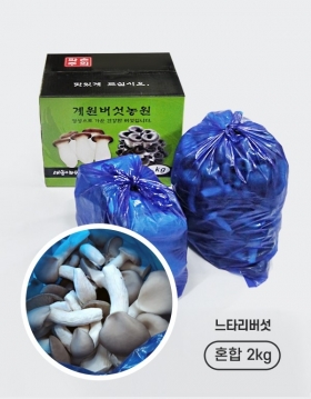 [계원버섯농원] 느타리버섯 (특상중혼합2kg)