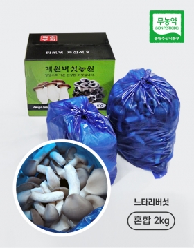 [계원버섯농원] 느타리버섯 (특상중혼합2kg)