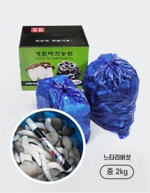 [계원버섯농원] 느타리버섯 (중2kg)