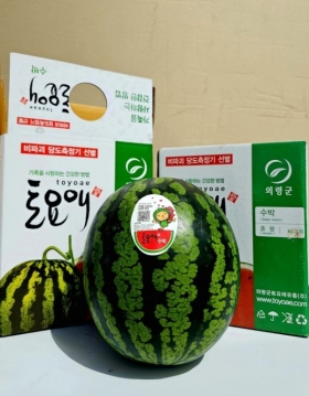 [토요애유통(주)] 토요애 고당도 수박(6kg)