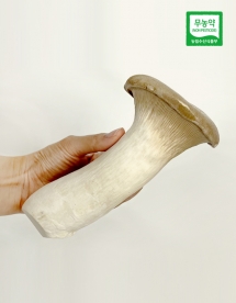 [한사랑 영농조합]왕왕특대 마블링 새송이 버섯