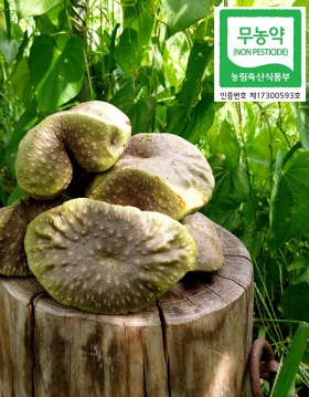 [감성영농조합법인] 무농약 하늘마(열매마) 5kg