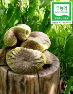 [감성영농조합법인] 무농약 하늘마(열매마) 5kg