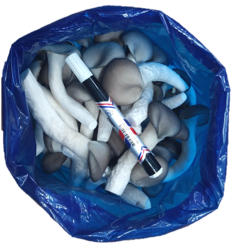 [계원버섯농원] 느타리버섯(1kg)