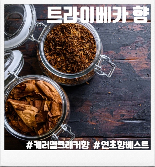 트라이베카 100ml(폐호흡용)