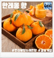 한레몽 100ml(폐호흡용)