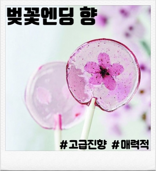 벚꽃 엔딩 100ml(폐호흡용)