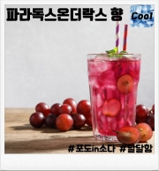 솔트 <파라독스 온 더 락스> 완성형액상 (9.8mg/30ml)