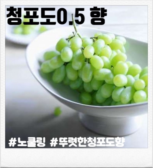 청포도 0.5 80ml(입호흡용, CSV용)