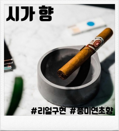 시가 80ml(입호흡용, CSV용)