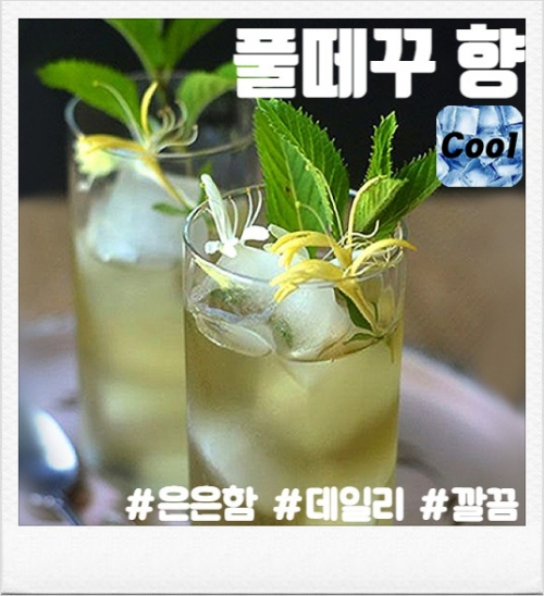 풀떼꾸 100ml(폐호흡용)