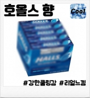 호올스 80ml(입호흡용, CSV용)