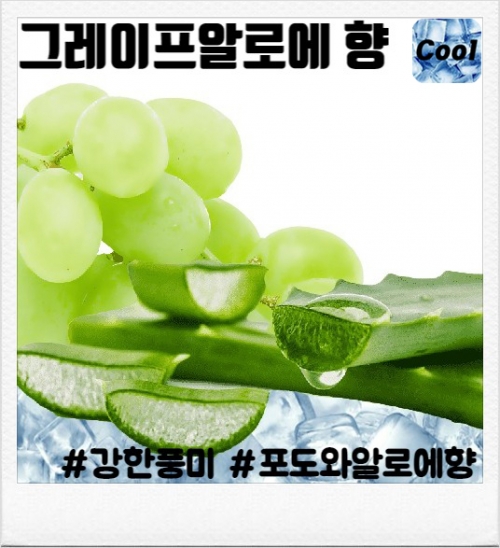 그레이프 알로에 100ml(폐호흡용)