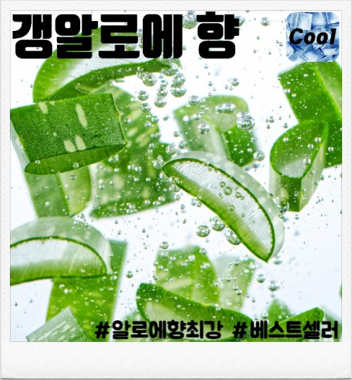 갱 알로에 100ml(폐호흡용)