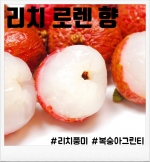 리치 로렌 100ml(폐호흡용)