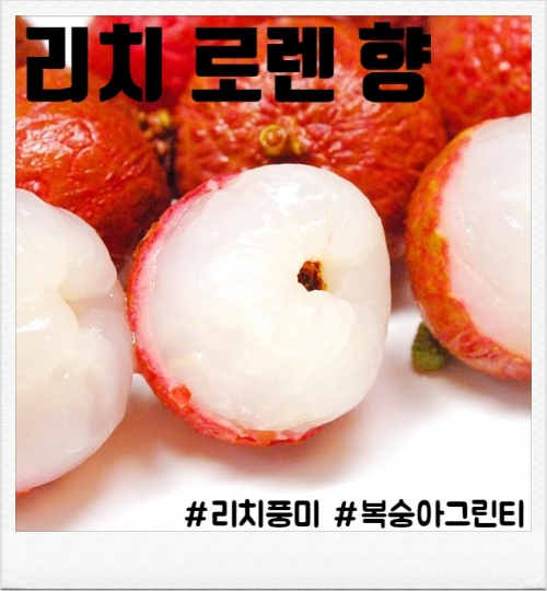 리치 로렌 80ml(입호흡용, CSV용)