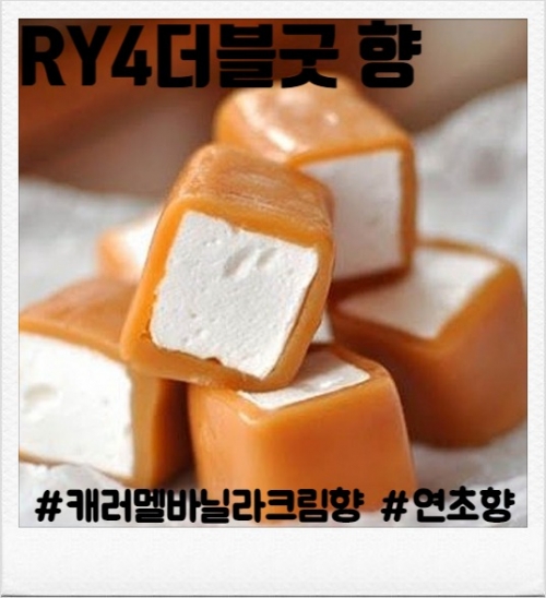 RY4 더블굿 80ml(입호흡용, CSV용)