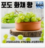 솔트 <포도 화채> 완성형액상 (9.8mg/30ml)