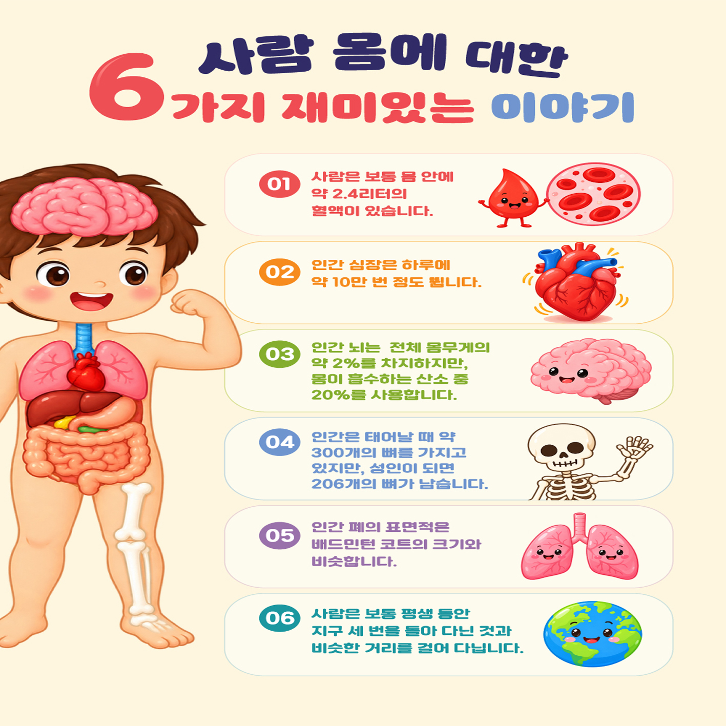 사람 몸에 대한 6가지 재미있는 이야기 홍가현작가-135