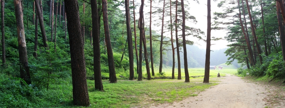 김정호작가-740