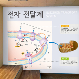 과학실-147