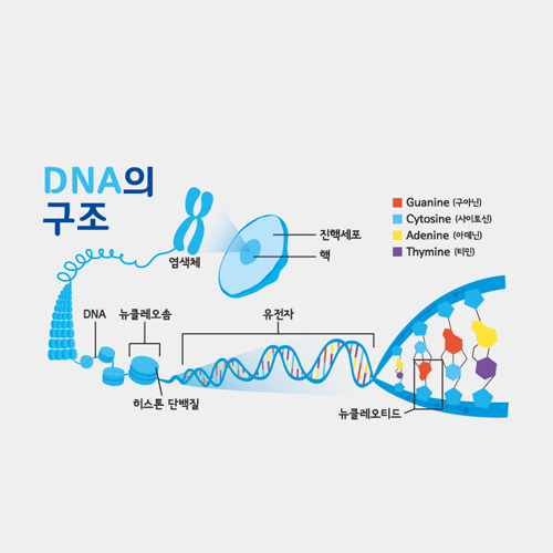 이정선작가-058