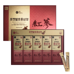 대한홍삼 포켓발효홍삼정 스틱 10g x 30포 + 쇼핑백