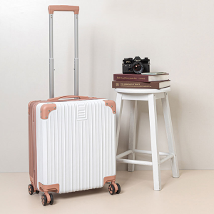 [에브리빙] 18인치 기내용 캐리어 (투톤)