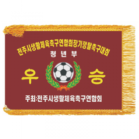 생활체육축구연합회 우승기(노란수술)