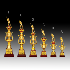 WD8-1172/우승트로피  A(10*16*7), B(10*20*8), C(11*26*10), D(11*34*11), E(12*38*12), F(14*43*14)