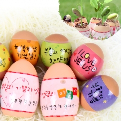 성령의열매 콩키우기 달걀모양 화분 계란화분 6010