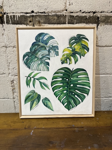 Monstera