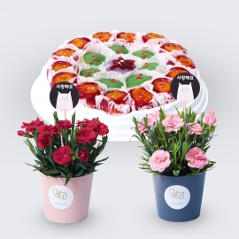 카네이션화분세트2개입+꽃모찌떡케익(중)