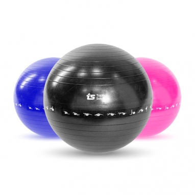 티에스 짐볼 55cm 65cm 필라테스 요가 스트레칭 코어운동