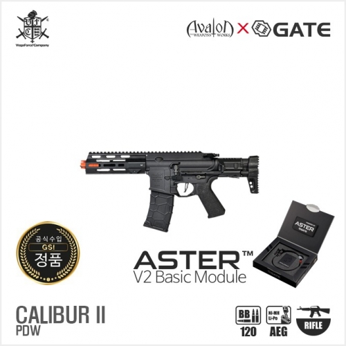 [VFC] 2024 AVALON CALIBUR II PDW X GATE ASTER V2 BK 전동건(순정소염기)