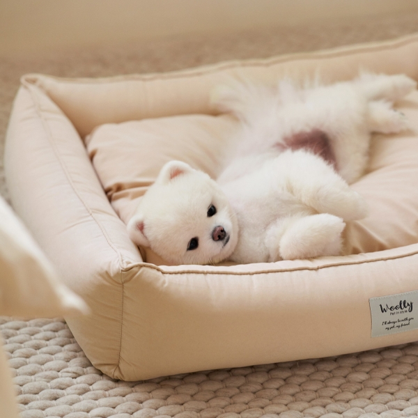 포그니 알러지케어 방석 M/L