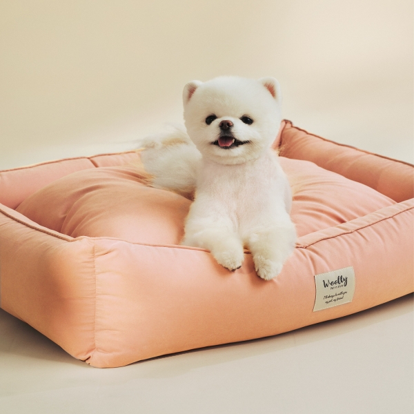 포그니 알러지케어 방석 M (커버분리형)