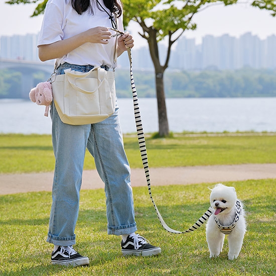 경량 산책가방