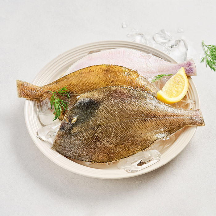 이브로 생선 구이 두절 가자미 1.6kg