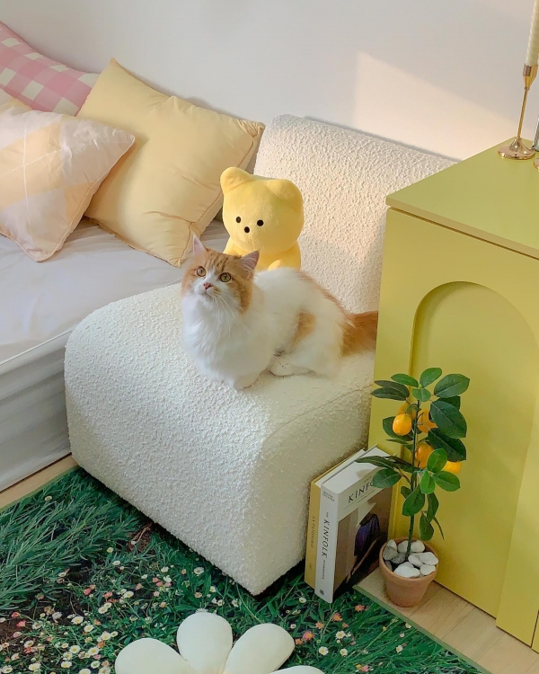 파미에 모듈 소파 (1인형/코너형)