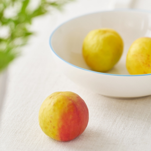 씨엘 2인 식기 세트 11P