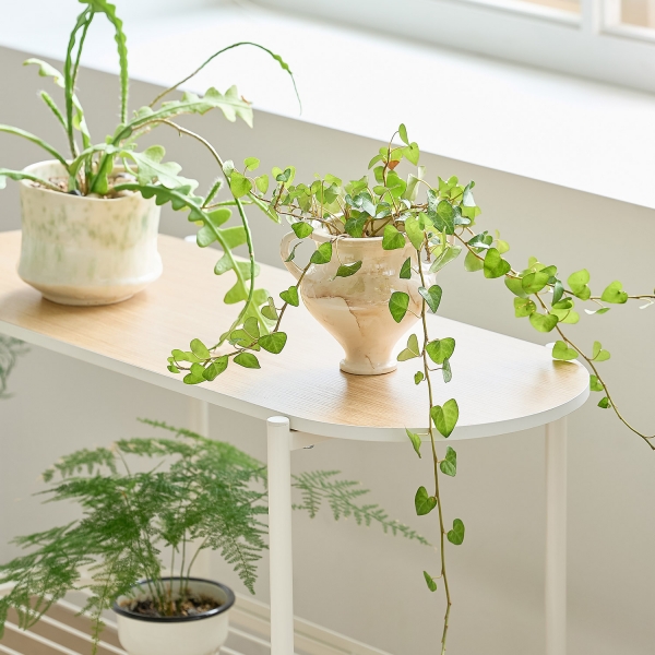 코벤트 2단 선반