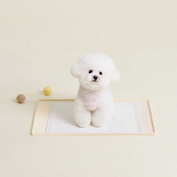 도트 실리콘 배변 매트