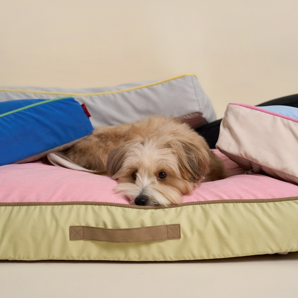 코지팟 방석 (M/L)