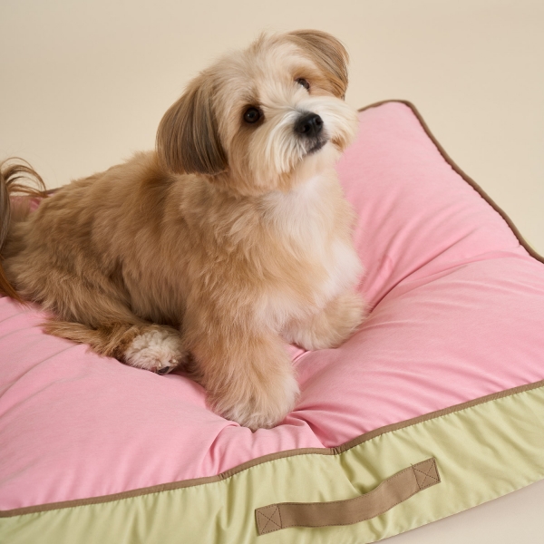 코지팟 방석 (M/L)