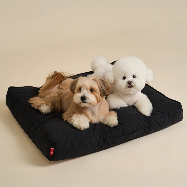 코지팟 방석 (M/L)