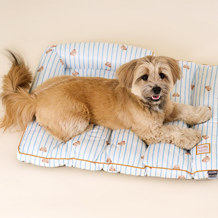 쿨링 곰돌이 필로우 방석 L